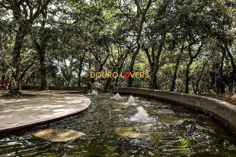 Apartamento para Venda em Paranhos Foto 16