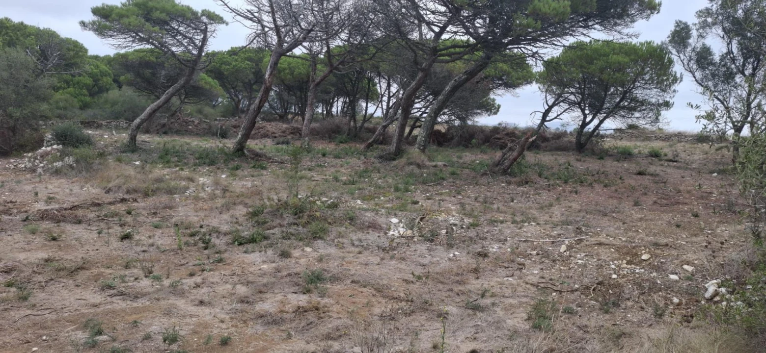 Terreno Agricola ou Rústico para Venda em São João das Lampas e Terrugem Foto 10