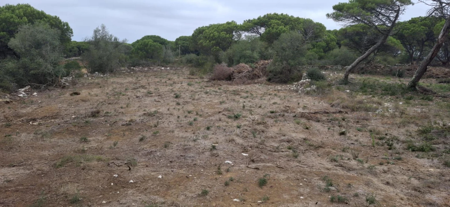 Terreno Agricola ou Rústico para Venda em São João das Lampas e Terrugem Foto 11