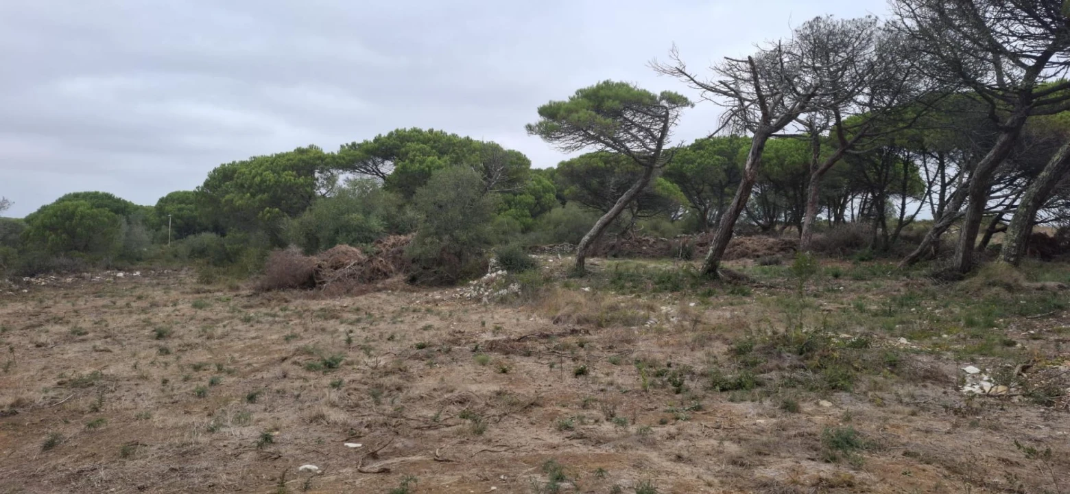 Terreno Agricola ou Rústico para Venda em São João das Lampas e Terrugem Foto 12