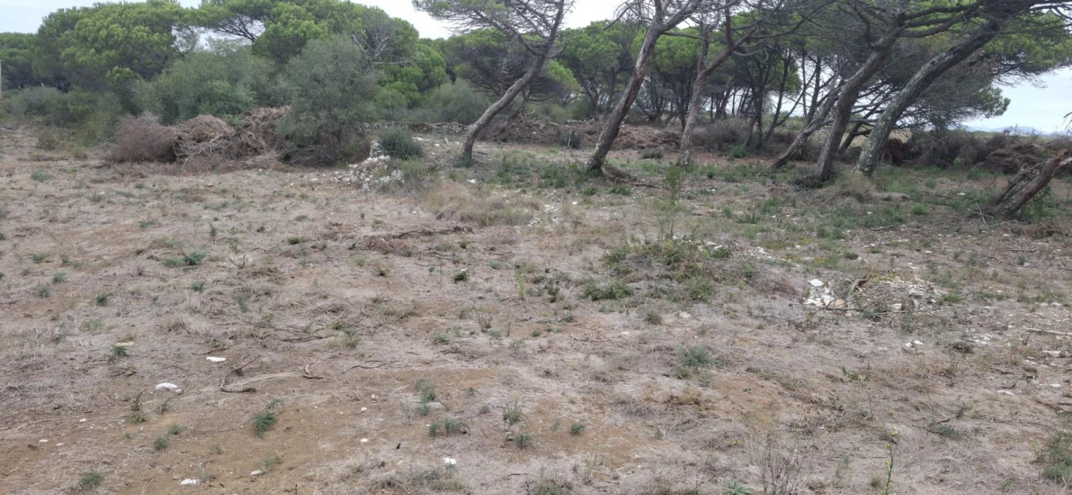 Terreno Agricola ou Rústico para Venda em São João das Lampas e Terrugem Foto 13