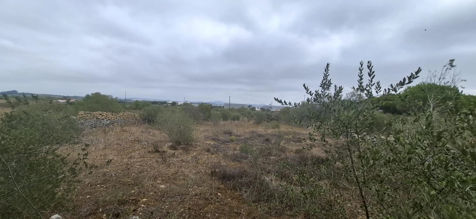 Terreno Agricola ou Rústico para Venda em São João das Lampas e Terrugem Foto 4