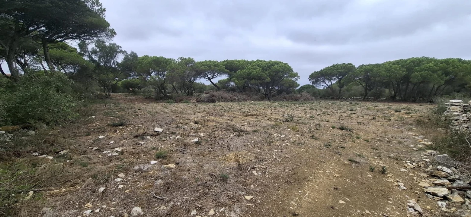 Terreno Agricola ou Rústico para Venda em São João das Lampas e Terrugem Foto 7