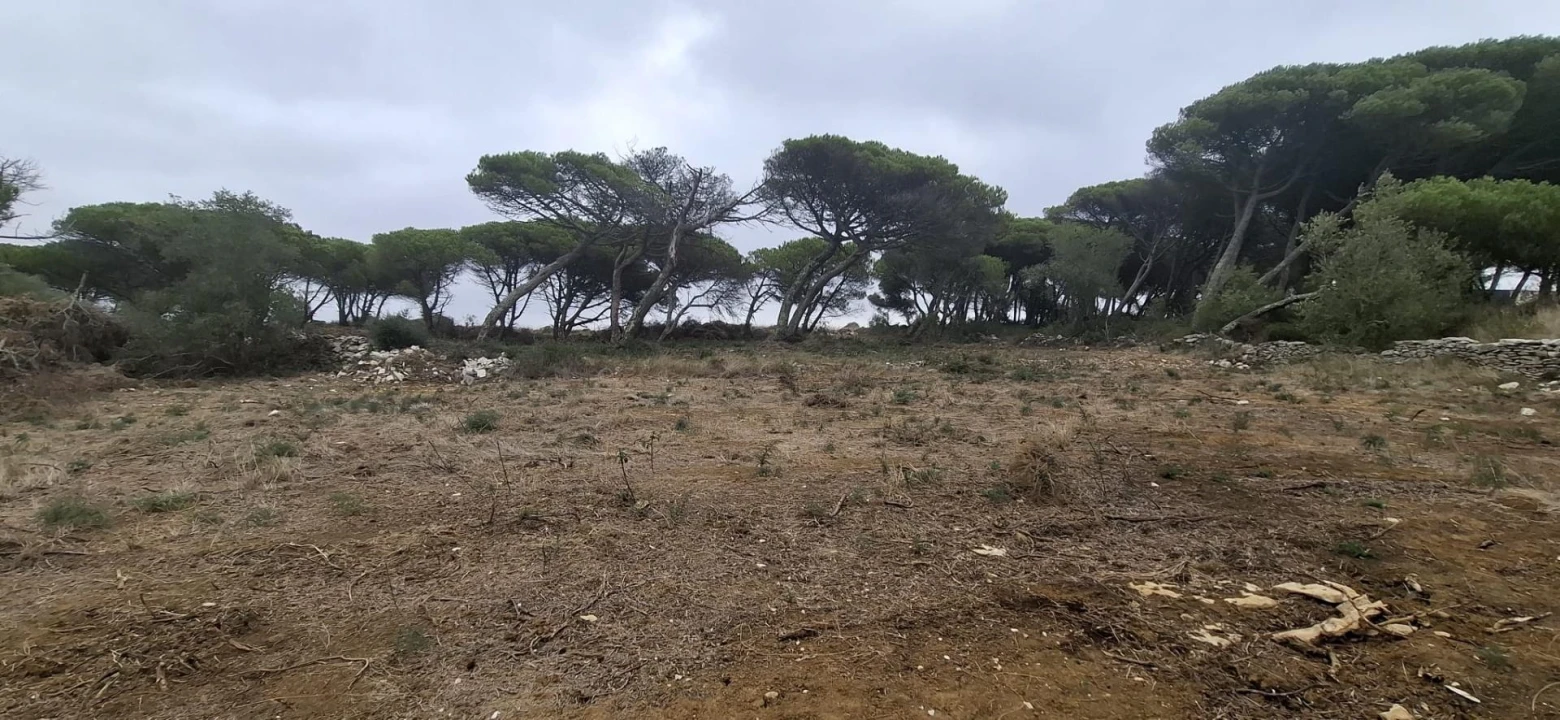 Terreno Agricola ou Rústico para Venda em São João das Lampas e Terrugem Foto 8