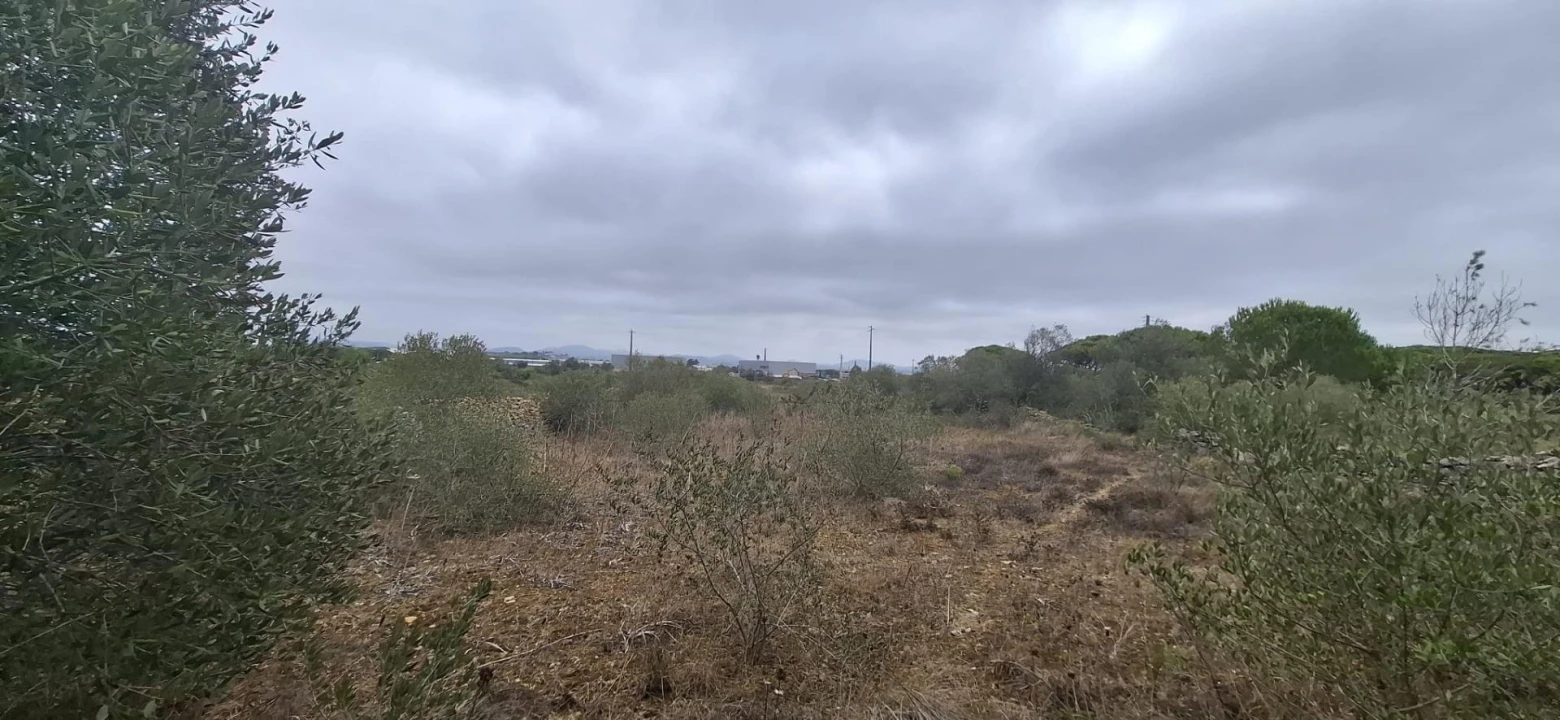 Terreno Agricola ou Rústico para Venda em São João das Lampas e Terrugem Foto 9