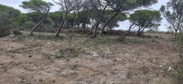 Terreno Agricola ou Rústico para Venda em São João das Lampas e Terrugem