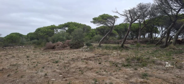 Terreno Agricola ou Rústico para Venda em São João das Lampas e Terrugem