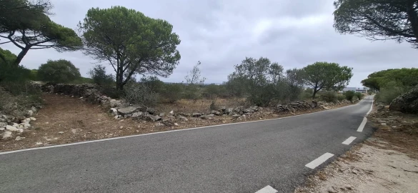 Terreno Agricola ou Rústico para Venda em São João das Lampas e Terrugem