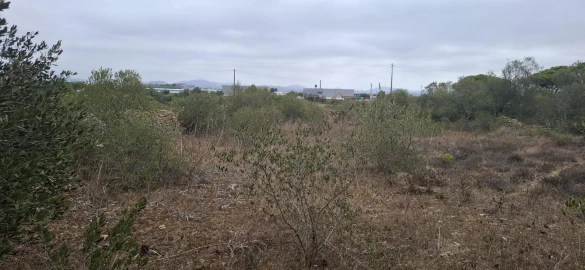 Terreno Agricola ou Rústico para Venda em São João das Lampas e Terrugem