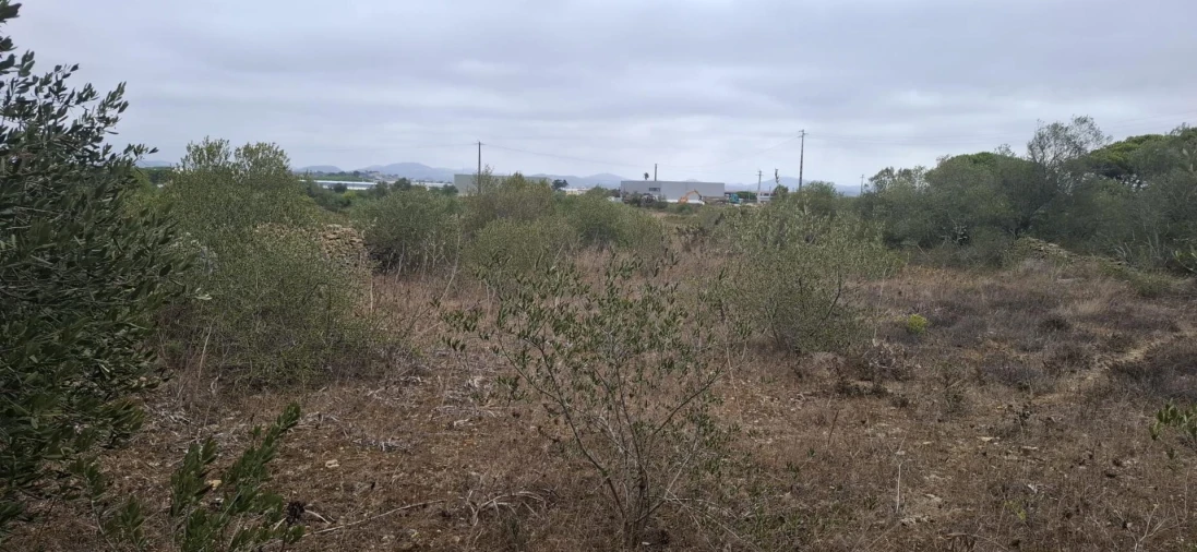 Terreno Agricola ou Rústico para Venda em São João das Lampas e Terrugem Foto 6