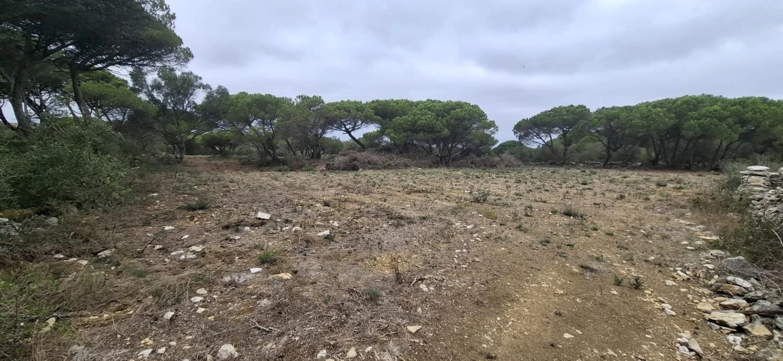 Terreno Agricola ou Rústico para Venda em São João das Lampas e Terrugem Foto 7