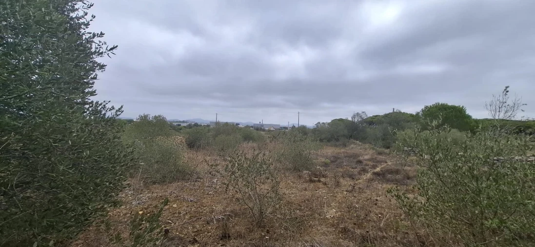 Terreno Agricola ou Rústico para Venda em São João das Lampas e Terrugem Foto 9