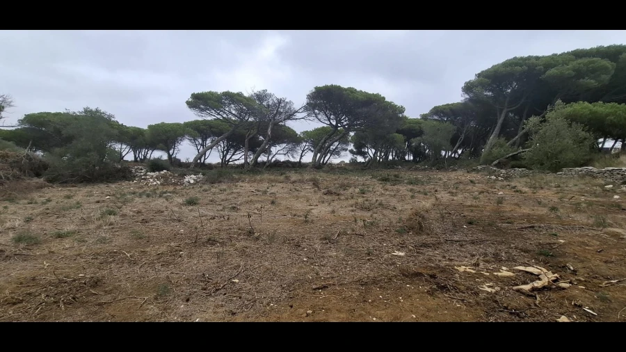 Terreno Agricola ou Rústico para Venda em São João das Lampas e Terrugem