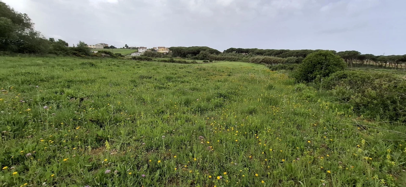 Terreno Agricola ou Rústico para Venda em São João das Lampas e Terrugem Foto 1