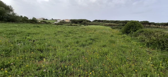 Terreno Agricola ou Rústico para Venda em São João das Lampas e Terrugem
