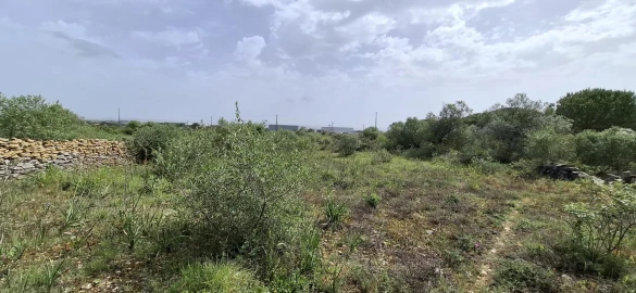 Terreno Agricola ou Rústico para Venda em São João das Lampas e Terrugem