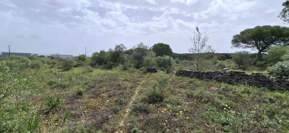 Terreno Agricola ou Rústico para Venda em São João das Lampas e Terrugem