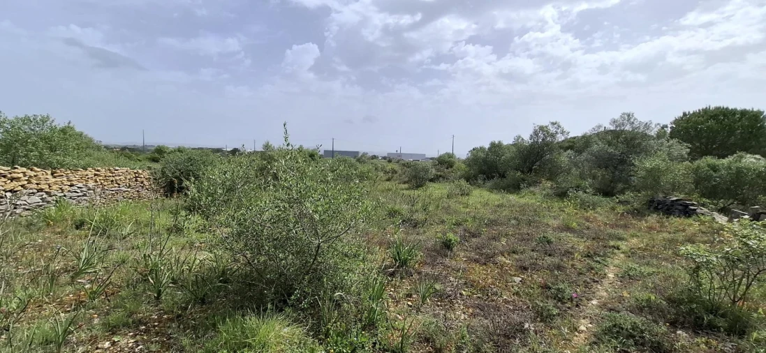 Terreno Agricola ou Rústico para Venda em São João das Lampas e Terrugem Foto 2