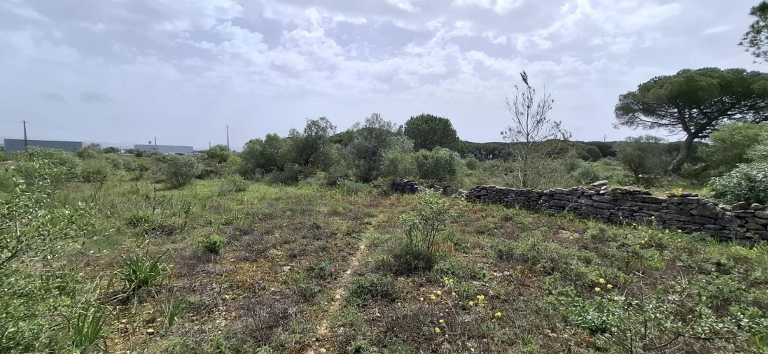 Terreno Agricola ou Rústico para Venda em São João das Lampas e Terrugem Foto 3