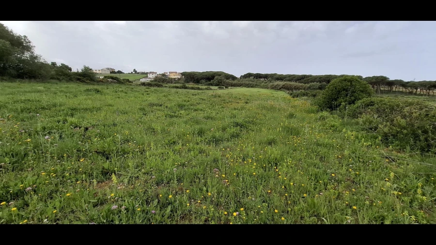 Terreno Agricola ou Rústico para Venda em São João das Lampas e Terrugem
