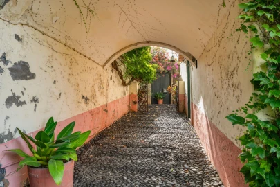 Moradia T6 para Venda em Funchal (Santa Luzia)