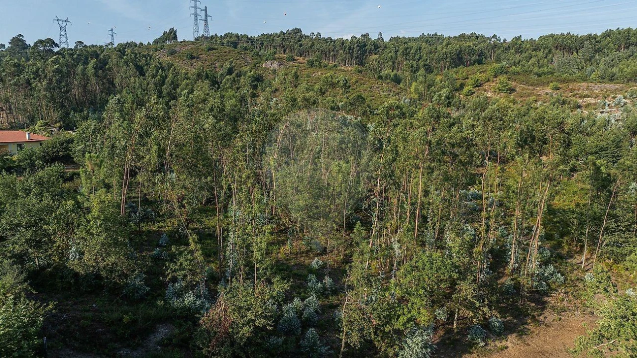 Moradia T3 para Venda em Calvos e Frades Foto 4
