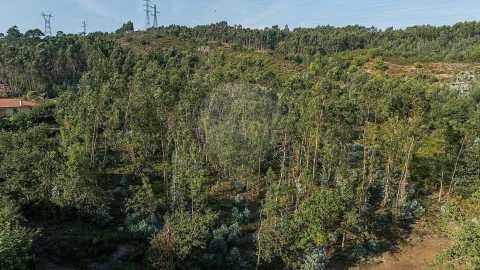 Moradia T3 para Venda em Calvos e Frades