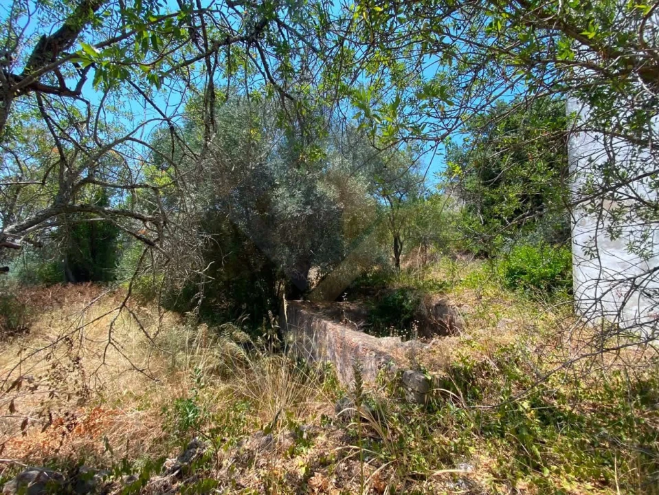 Moradia T3 para Venda em São Brás de Alportel Foto 14