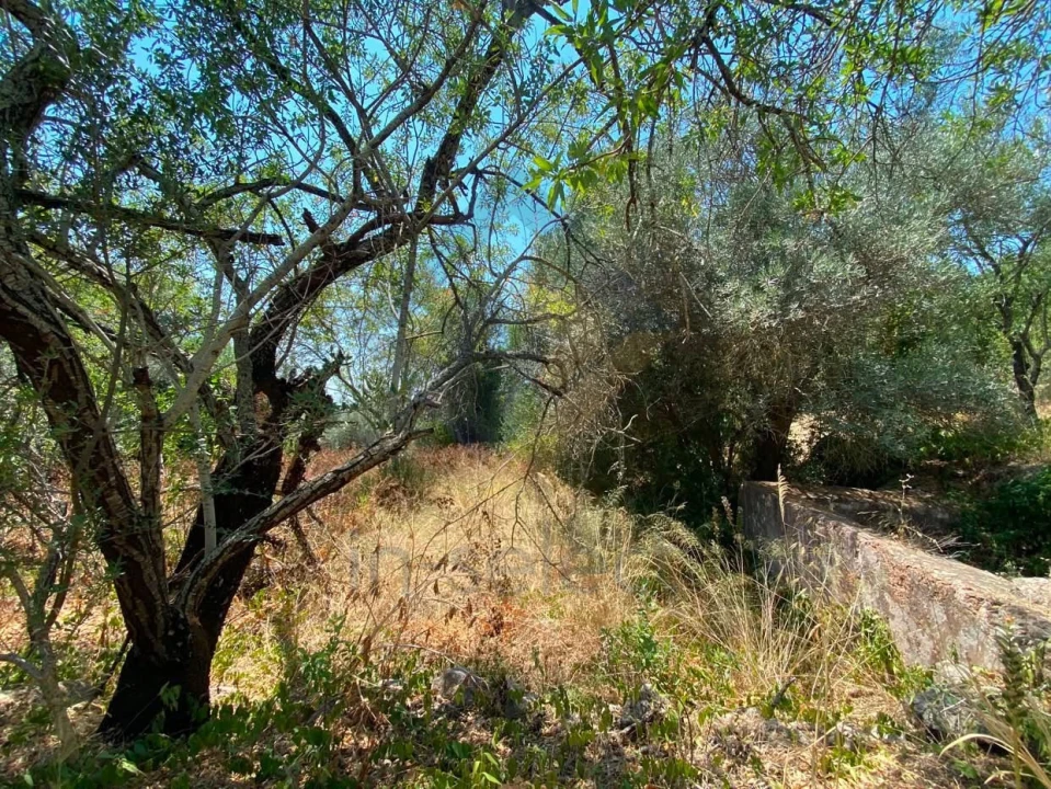 Moradia T3 para Venda em São Brás de Alportel Foto 16
