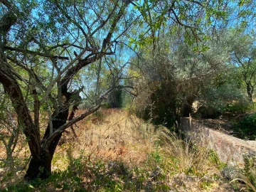 Moradia T3 para Venda em São Brás de Alportel