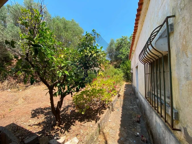 Moradia T3 para Venda em São Brás de Alportel Foto 2