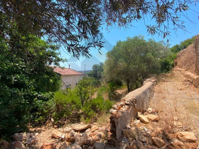 Moradia T3 para Venda em São Brás de Alportel Foto 12