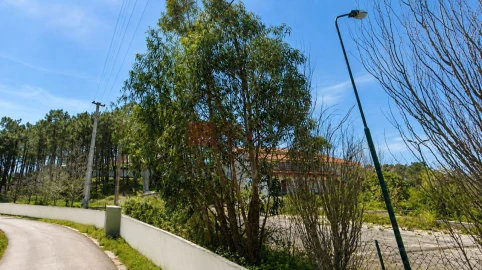 Loja para Venda em Ericeira