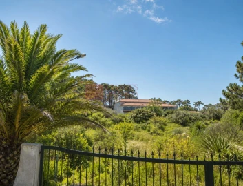 Loja para Venda em Ericeira