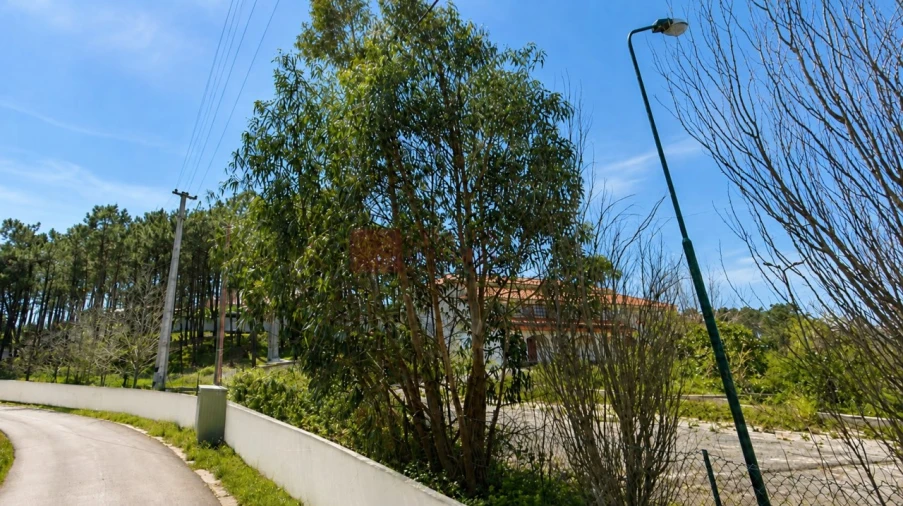 Loja para Venda em Ericeira Foto 3