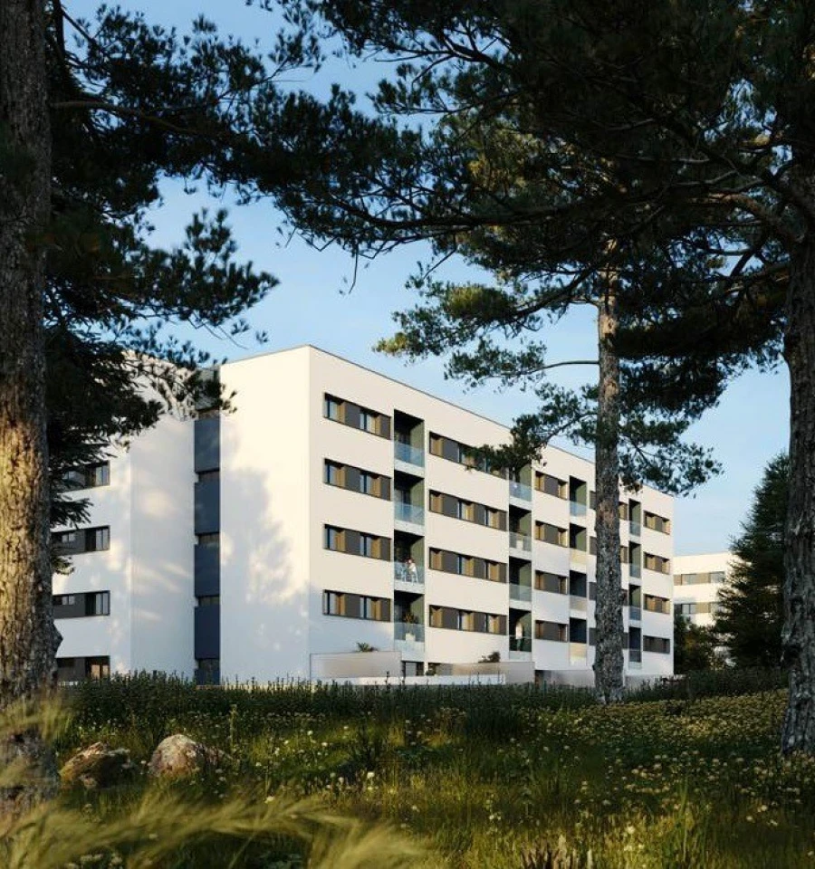 Apartamento T3 para Venda em Ermesinde Foto 3
