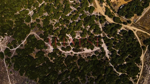 Terreno para Venda em Sines