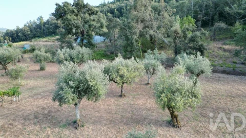 Terreno para Venda em São Miguel, Santa Eufémia e Rabaçal