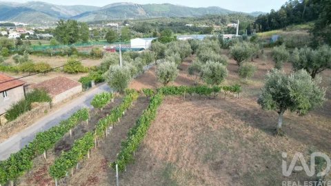 Terreno para Venda em São Miguel, Santa Eufémia e Rabaçal