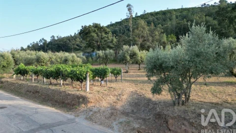 Terreno para Venda em São Miguel, Santa Eufémia e Rabaçal