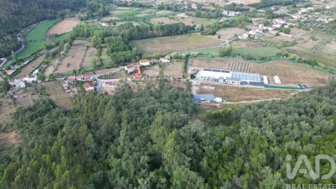 Terreno para Venda em São Miguel, Santa Eufémia e Rabaçal