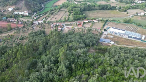 Terreno para Venda em São Miguel, Santa Eufémia e Rabaçal