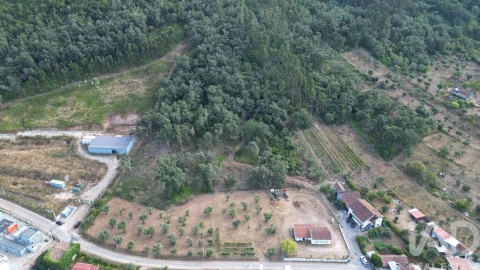 Terreno para Venda em São Miguel, Santa Eufémia e Rabaçal
