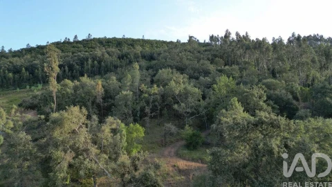Terreno para Venda em São Miguel, Santa Eufémia e Rabaçal