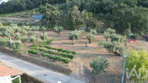 Terreno para Venda em São Miguel, Santa Eufémia e Rabaçal