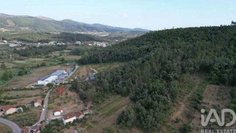 Terreno para Venda em São Miguel, Santa Eufémia e Rabaçal