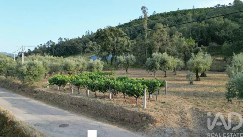 Terreno para Venda em São Miguel, Santa Eufémia e Rabaçal