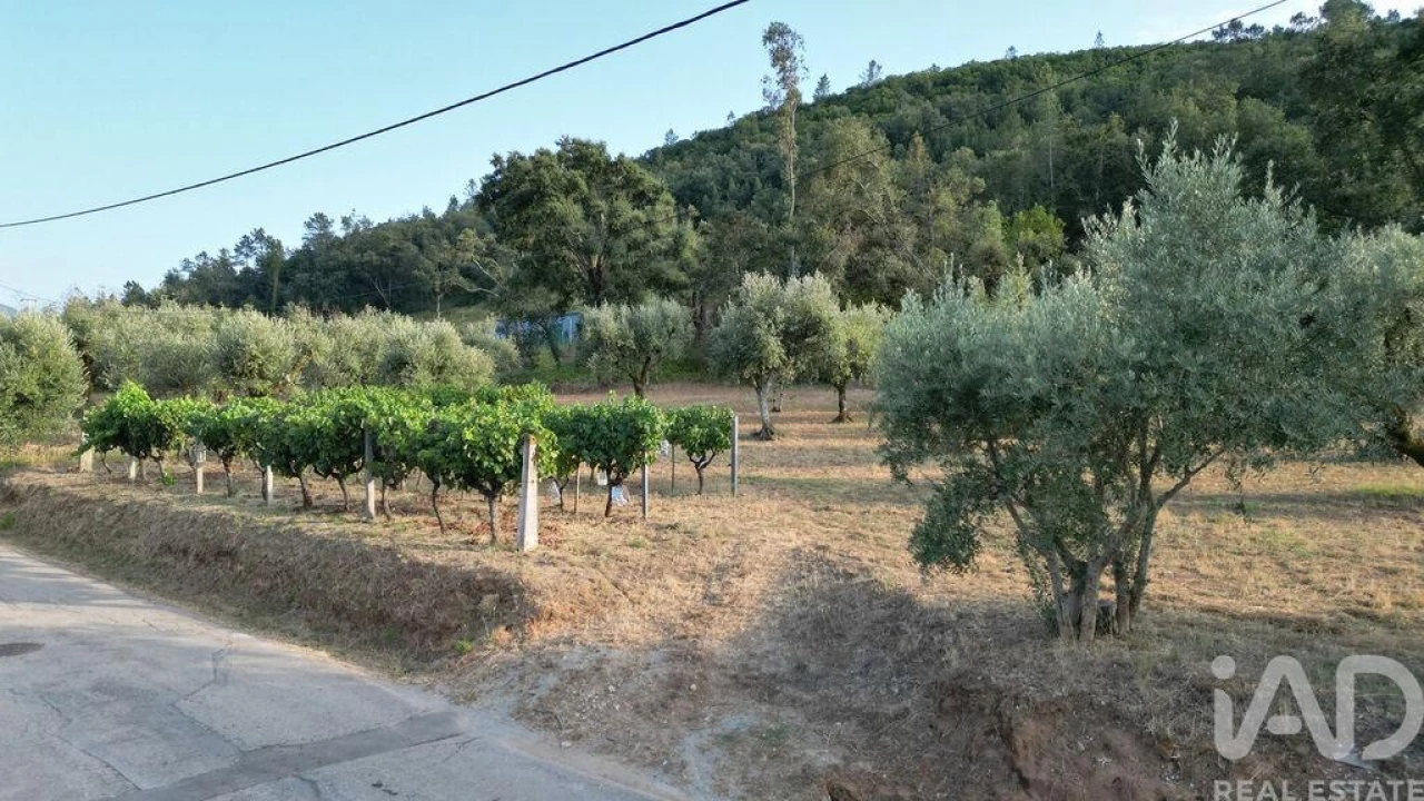 Terreno para Venda em São Miguel, Santa Eufémia e Rabaçal Foto 14