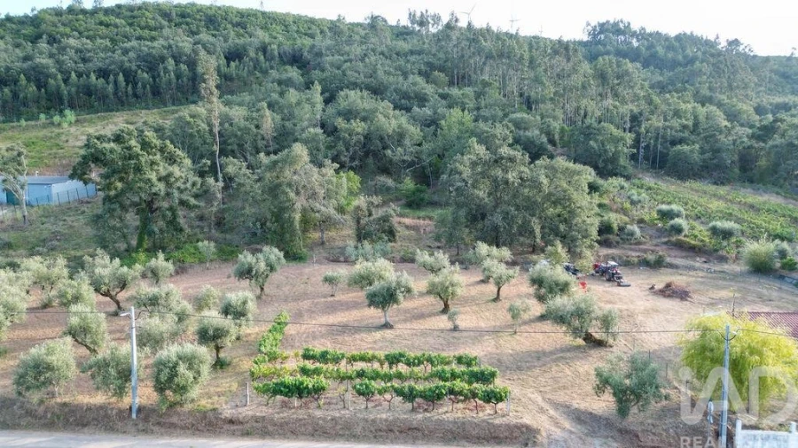 Terreno para Venda em São Miguel, Santa Eufémia e Rabaçal Foto 10