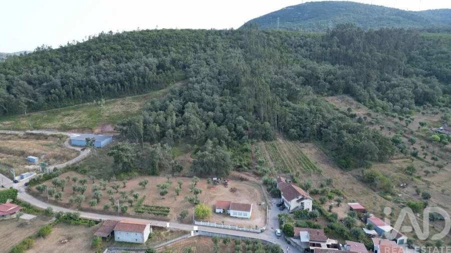 Terreno para Venda em São Miguel, Santa Eufémia e Rabaçal Foto 4